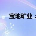 宝地矿业：股东拟减持不超0.12%股份