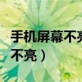 手机屏幕不亮了怎么把数据导出来（手机屏幕不亮）