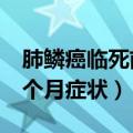 肺鳞癌临死前两个月什么症状（肺鳞癌死前3个月症状）