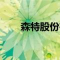 森特股份在四川德昌成立新能源公司