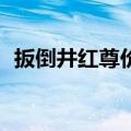 扳倒井红尊价格表（扳倒井红尊38度价格）