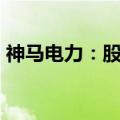 神马电力：股东陈小琴拟减持不超过3%股份