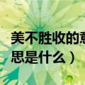 美不胜收的意思是什么并造句（美不胜收的意思是什么）