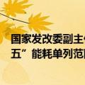 国家发改委副主任赵辰昕：正研究一些重大项目纳入“十四五”能耗单列范围