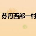 苏丹西部一村庄遭武装分子袭击 致20人死亡