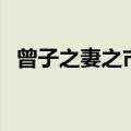 曾子之妻之市文言文启示（曾子之妻之市）