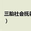 三胎社会抚养费一般多少钱（三胎社会抚养费）