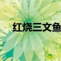 红烧三文鱼头的做法视频（红烧三文鱼）