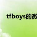 tfboys的微博官方微博（tfboys的微博）