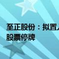 至正股份：拟置入主要从事半导体封装材料行业的相关资产 股票停牌