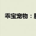 乖宝宠物：股东拟合计减持不超过4%股份