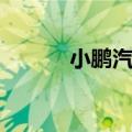 小鹏汽车9月交付量创历史新高