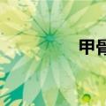 甲骨文股价创下历史新高