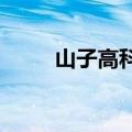 山子高科：9月乘用车销量1855辆