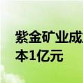 紫金矿业成立西北地质矿产勘查公司 注册资本1亿元