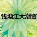 钱塘江大潮资料简介20字（钱塘江大潮资料）