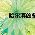 哈尔滨凶杀案2020年（哈尔滨杀人犯）