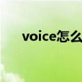 voice怎么读音英语（voice怎么读音）