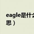 eagle是什么意思英文翻译（eagle是什么意思）