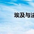 埃及与法国外长通话讨论中东局势