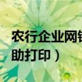 农行企业网银回单打印设置（农行企业回单自助打印）