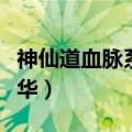 神仙道血脉系统怎么激活升级（神仙道血脉精华）