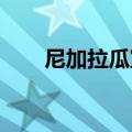 尼加拉瓜宣布与以色列断绝外交关系