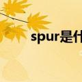 spur是什么意思（spu是什么意思）