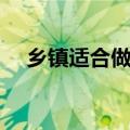 乡镇适合做什么小吃（乡镇适合做什么）