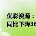 优彩资源：第三季度净利润为2716.69万元 同比下降36.91%