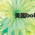 美国bobo怎么下单（美国bobo）