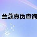 兰蔻真伪查询入口官网（兰蔻真伪查询网站）