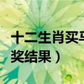 十二生肖买马开奖结果软件（十二生肖买马开奖结果）