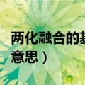 两化融合的基本定义是什么（两化融合是什么意思）