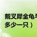 戴叉犀金龟与双叉犀金龟的区别（叉犀金龟卖多少一只）