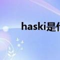 haski是什么品牌、多少钱（haski）