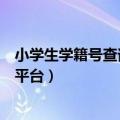 小学生学籍号查询官网学生学籍号怎么查（小学学籍号查询平台）