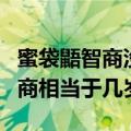 蜜袋鼯智商没有猫和狗的智商高吗（蜜袋鼯智商相当于几岁）