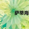 萨蒂海贼王 贴吧（萨蒂海贼王）