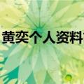 黄奕个人资料简历 老公（黄奕个人资料简历）