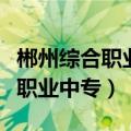 郴州综合职业中专学校有哪些专业（郴州综合职业中专）