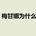 梅甘娜为什么停售（梅甘娜为什么禁止上路）