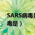 SARS病毒是什么病毒dna还是rna（sars病毒是）