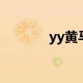 yy黄马有什么权限（yy黄id）