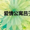 爱情公寓吕子乔陈美嘉（爱情公寓吕子乔）