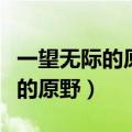 一望无际的原野随你去流浪下一句（一望无际的原野）