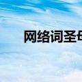 网络词圣母婊什么意思（婊什么意思）