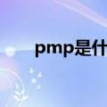 pmp是什么意思医学（pmp是什么）