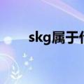 skg属于什么档次（skg是什么牌子）