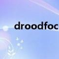 droodfocus插件下载（droodfocus）